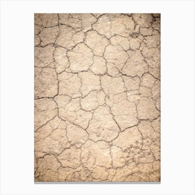 Cracked Dirt Background Canvas Print