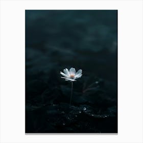 Single Flower In Water 30 Canvas Print