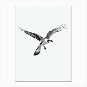 Osprey B&W Pencil Drawing 3 Bird Canvas Print