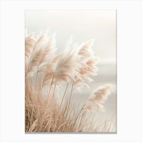 Picturesque Pampas Grass Canvas Print