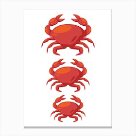 Three Crabs.. Uk Canvas Print