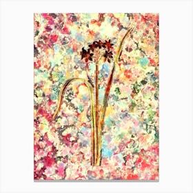 Impressionist Cowslip Cupped Daffodil Botanical Painting in Blush Pink and Gold Canvas Print