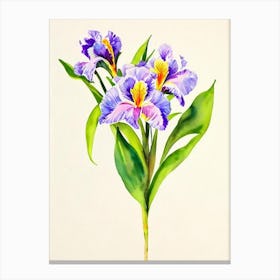 Iris Vintage Flowers Flower Canvas Print
