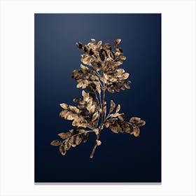 Gold Botanical Siberian Pea Tree on Midnight Navy Canvas Print