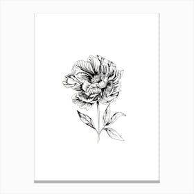 Peonia Flower Black and White Toile