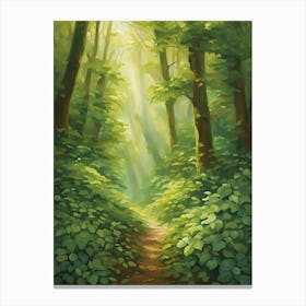 Path In The Woods 12 Canvas Print