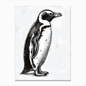 King Penguin Standing Tall And Proud 2 Canvas Print