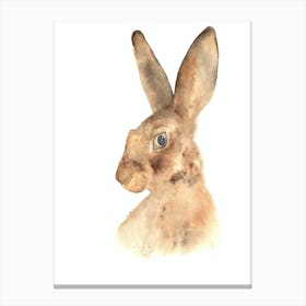 Hare 2 Canvas Print