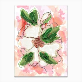 Magnolia Pink Canvas Print