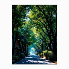 Street Lined With Trees Canvas Print