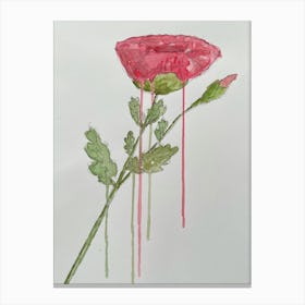 Poppy Canvas Print