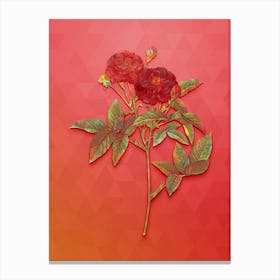 Vintage Van Eeden Rose Botanical Art on Fiery Red n.0735 Canvas Print