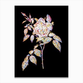 Stained Glass Fragrant Rosebush Mosaic Botanical Illustration on Black n.0001 Canvas Print
