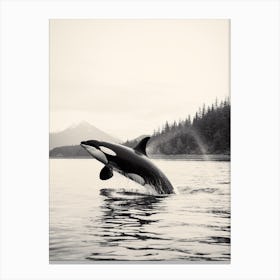 Black & White Photography Style Orca Whale Spraying Water Canvas Print