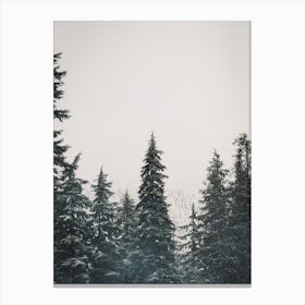 Snow Storm In Forest Canvas Print