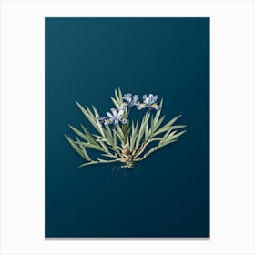 Vintage Dwarf Crested Iris Botanical Art on Teal Blue n.0141 Canvas Print