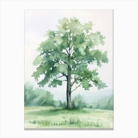 Alder Tree Atmospheric Watercolour Painting 5 Canvas Print