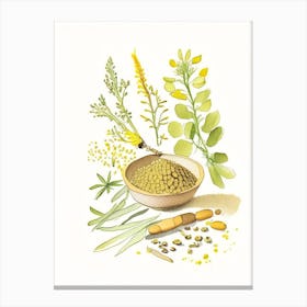 Fenugreek Spices And Herbs Pencil Illustration 2 Canvas Print