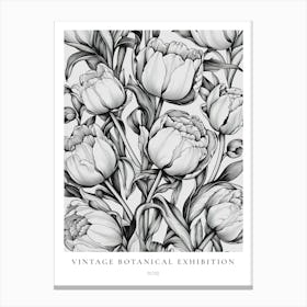 Rose 2 B&W Vintage Botanical Poster Canvas Print