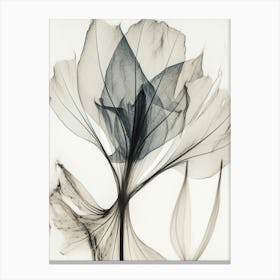 Black White Image Flower With Wh1 Canvas Print