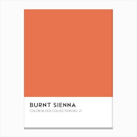 Burnt Sienna Color Block Collection Wall Canvas Print