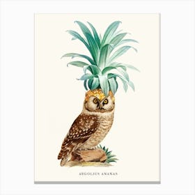 Pineapple Owl Vintage Canvas Print