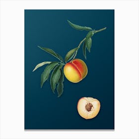 Vintage Peach Botanical Art on Teal Blue n.0884 Canvas Print