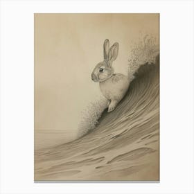 Tans Rabbit Drawing 3 Canvas Print