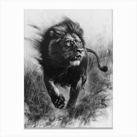 African Lion Charcoal Drawing Hunting 1 Canvas Print