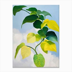 Golden Pothos Bold Graphic Plant Canvas Print