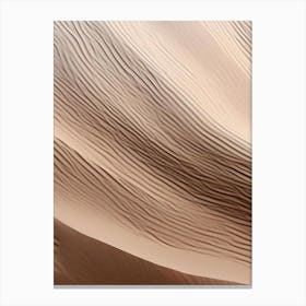 Sand Dunes 8 Canvas Print