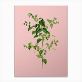 Vintage Tree Fuchsia Botanical on Soft Pink n.0805 Canvas Print