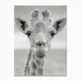 Happy Giraffe, Funny Expression Canvas Print