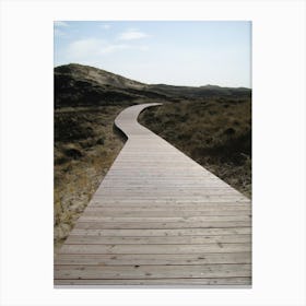 Wooden path to the Beach Canvas Print