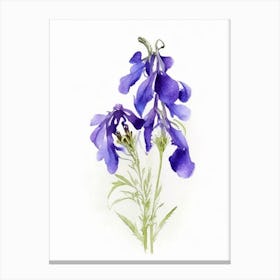 Larkspur Wildflower Watercolour 2 Canvas Print