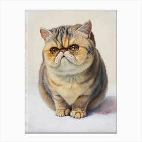 Exotic Shortrhair Cat Painting 3 Canvas Print