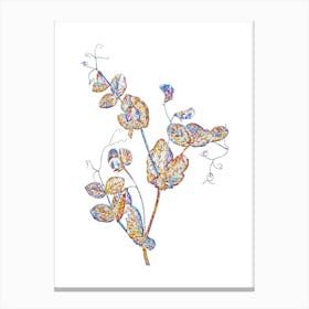 Stained Glass White Pea Flower Mosaic Botanical Illustration on White n.0323 Canvas Print