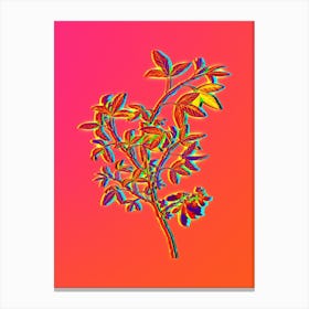 Neon Stinking Bean Trefoil Botanical in Hot Pink and Electric Blue n.0155 Canvas Print