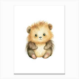 Hedgehog Canvas Print