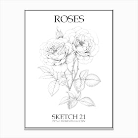 Roses Sketch 21 Poster Canvas Print