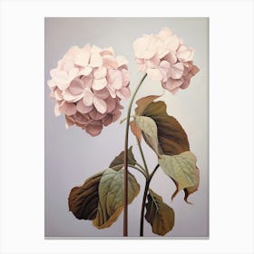 Floral Illustration Hydrangea 1 Canvas Print