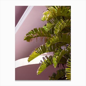 Palm Leaves With Pink Art Deco Architecture 1 Canvas Print
