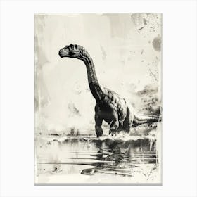 Diplodocus Dinosaur Black Ink Illustration 3 Canvas Print