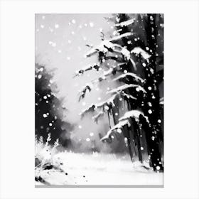 Winter, Snowflakes, Black & White 1 Canvas Print