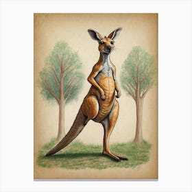 Kangaroo 1 Canvas Print