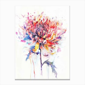 Chrysanthemum 3 Canvas Print