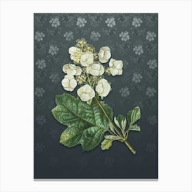 Vintage Oakleaf Hydrangea Botanical on Slate Gray Pattern n.2295 Canvas Print