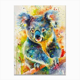 Koala Colourful Watercolour 3 Canvas Print