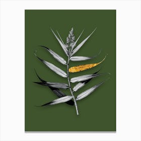 Vintage Bush Cane Black and White Gold Leaf Floral Art on Olive Green n.1130 Canvas Print