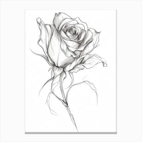 English Rose Black And White Line Drawing 36 Canvas Print